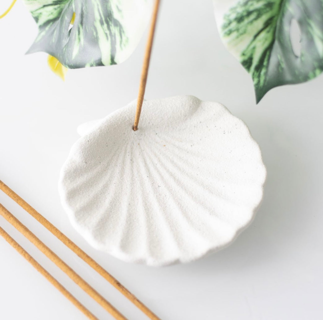 OFF WHITE SCALLOP SHELL INCENSE STICK HOLDER