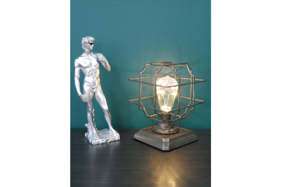 Industrial Rustic Cage Light/Lamp Battery Operated