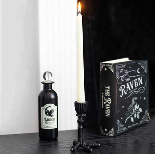RAVEN CLAW TAPER CANDLE HOLDER