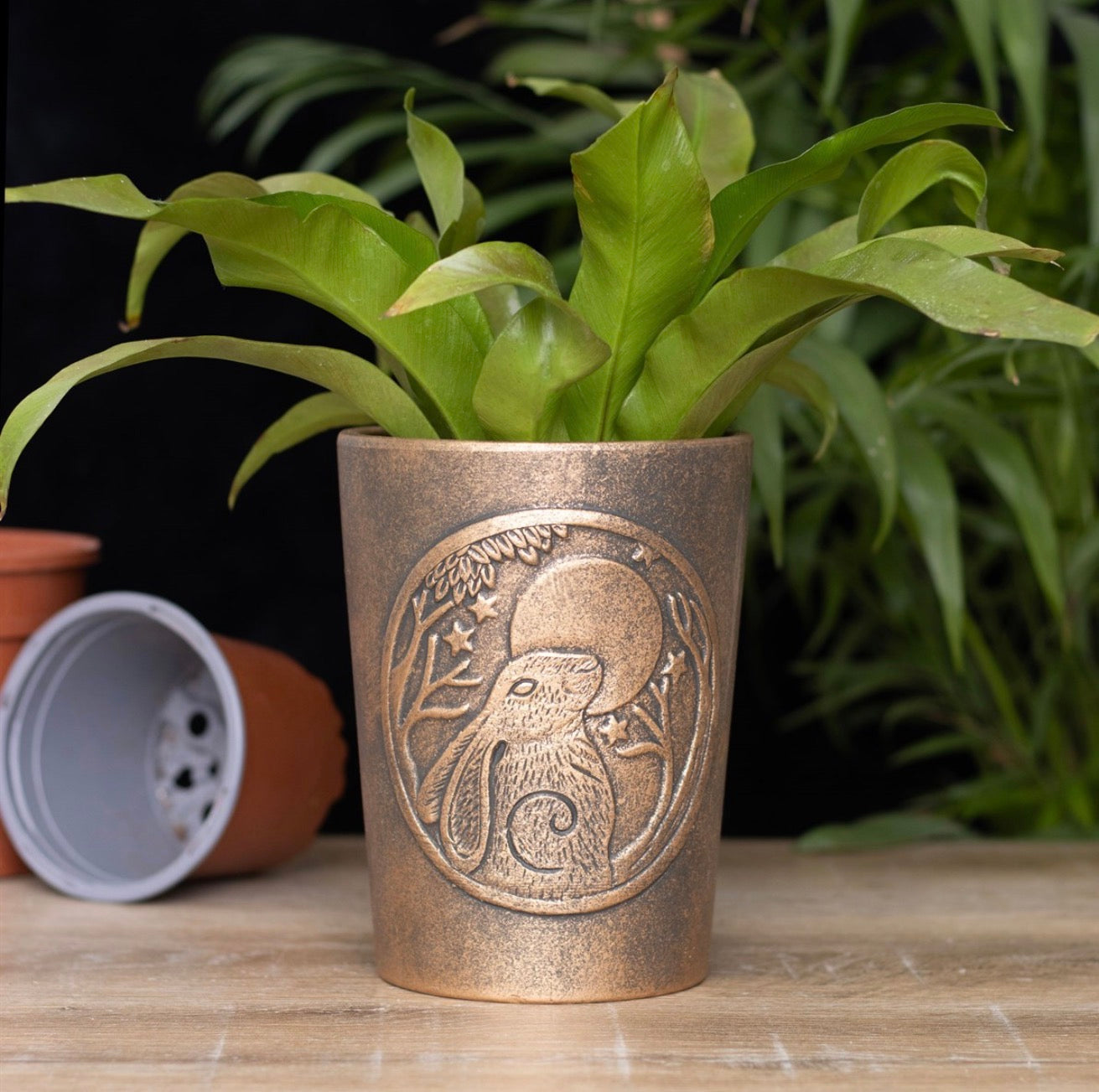 MOON GAZING HARE BRONZE TERRACOTTA PLANT POT BY LISA PARKER