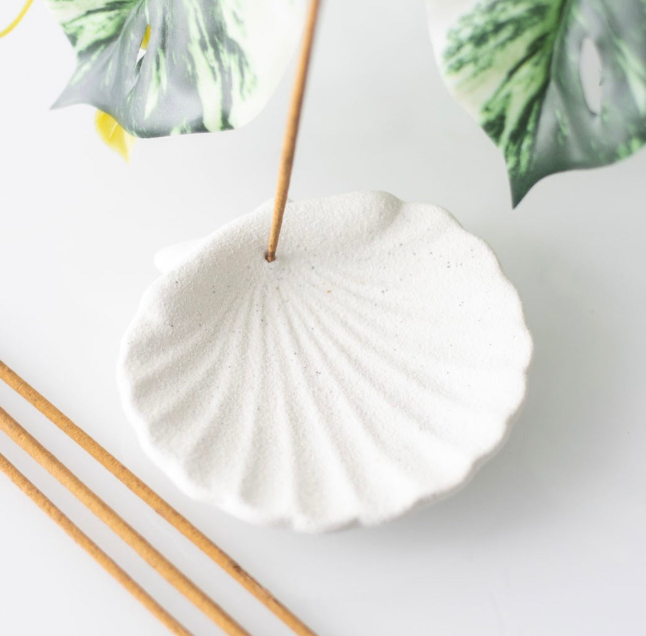 OFF WHITE SCALLOP SHELL INCENSE STICK HOLDER