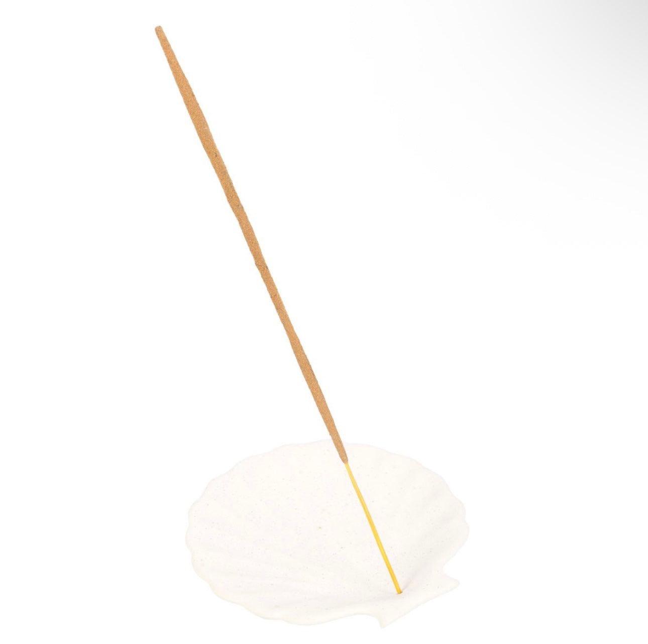 OFF WHITE SCALLOP SHELL INCENSE STICK HOLDER