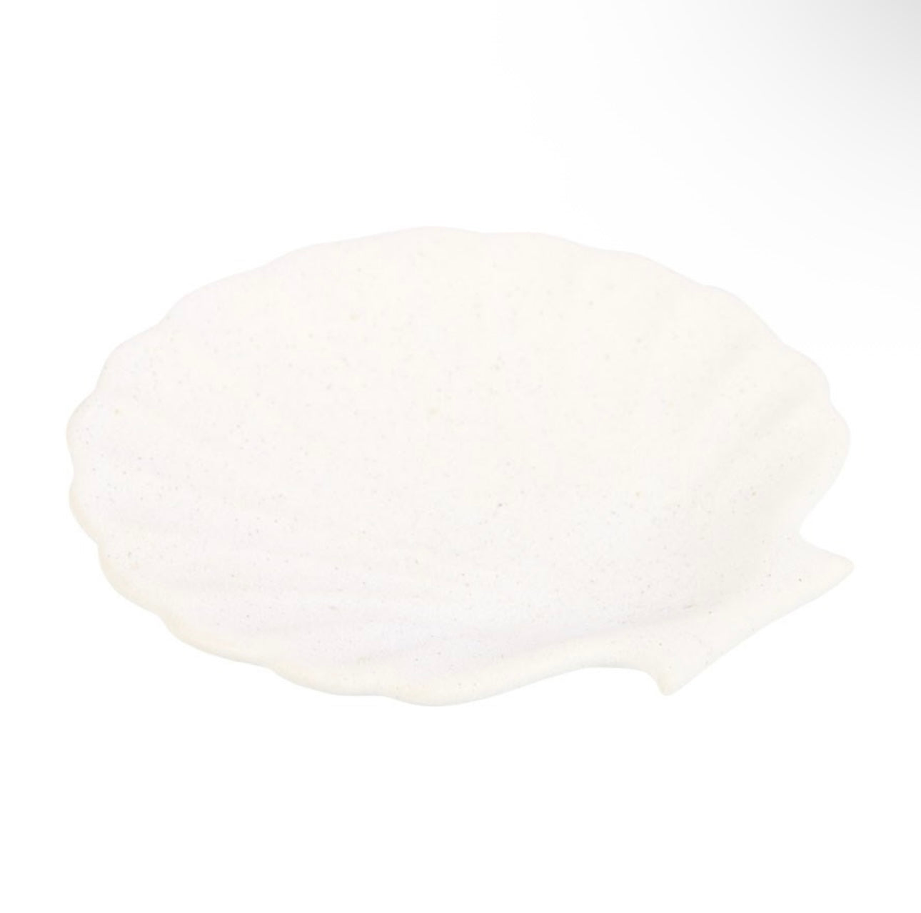 OFF WHITE SCALLOP SHELL INCENSE STICK HOLDER