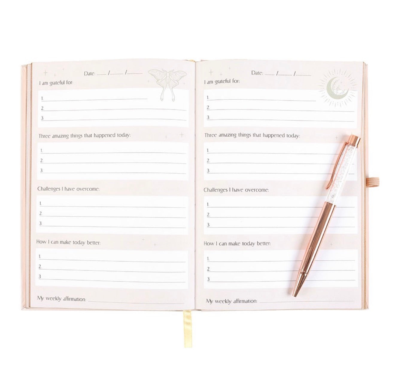 LUNA MOTH DAILY REFLECTION JOURNAL WITH QUARTZ PEN