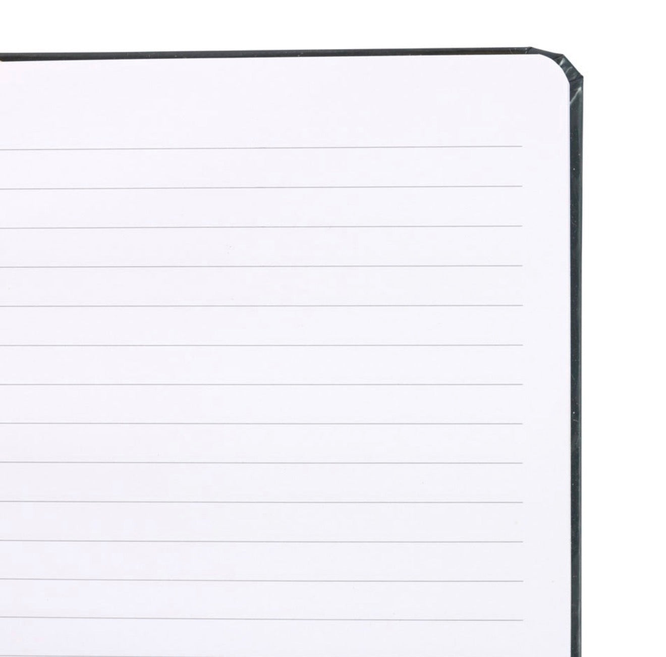 MIDNIGHT HARE MMOON GAZING HARE A5 LINED NOTEBOOK